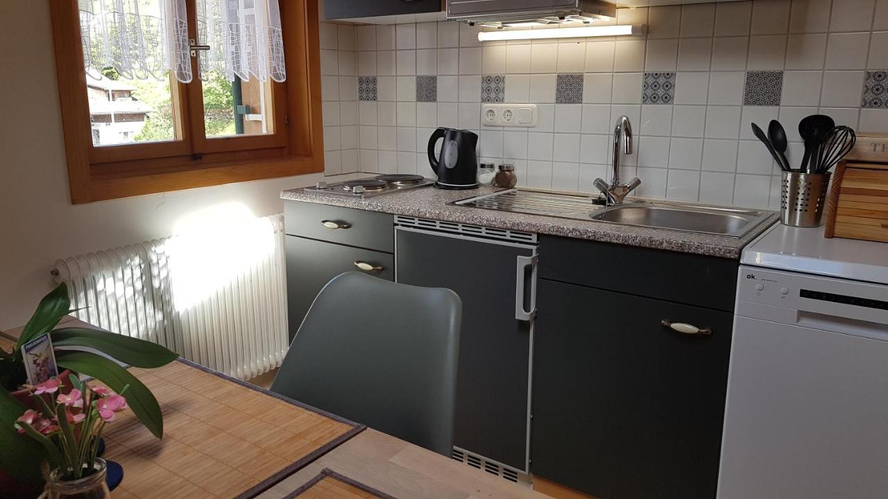 Appartement Haus Sabine à Schruns Extérieur photo
